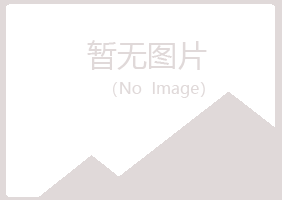 北川县傲之因特网有限公司